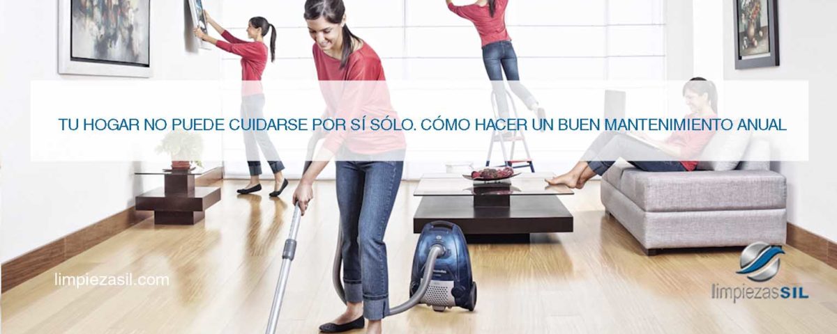 mantenimiento y limpieza anual
