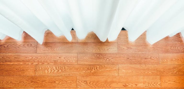 ¿Cómo limpiar el moho de las paredes? | Limpiezas SIL