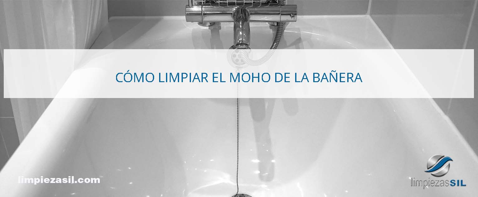 Sacrificio Arquitectura cuenta ▷ Cómo limpiar el moho de la bañera | Limpieza SIL