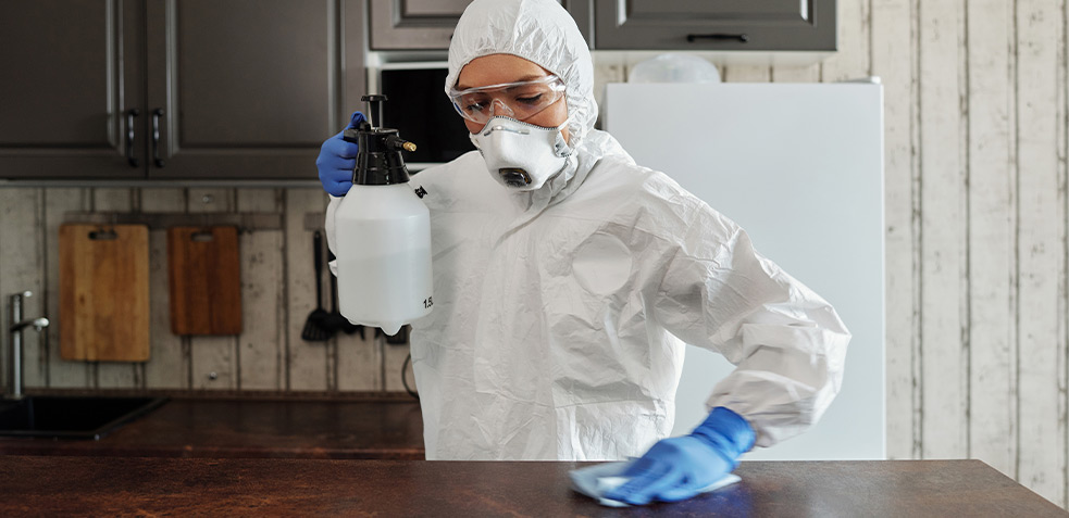 donde-denunciar-plaga-de-cucarachas