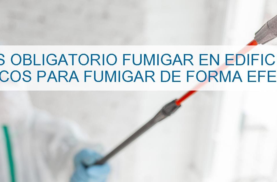 es-obligatorio-fumigar-en-edificios