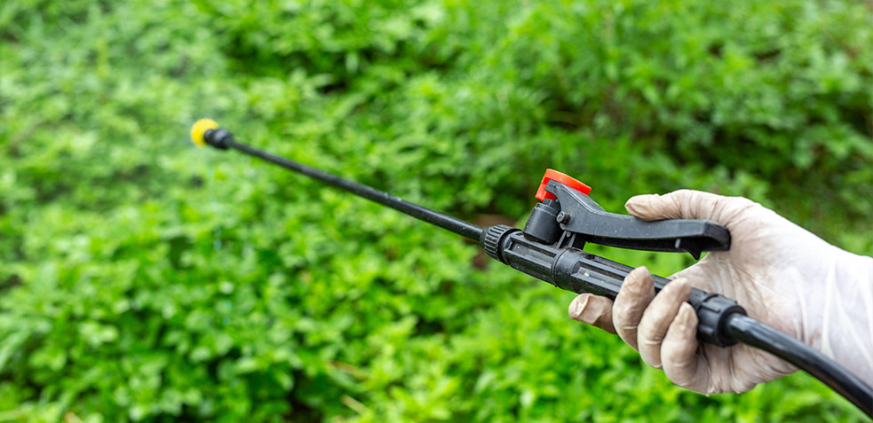 ley-de-propiedad-horizontal-plagas